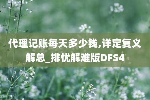 代理记账每天多少钱,详定复义解总_排忧解难版DFS4