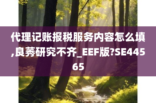 代理记账报税服务内容怎么填,良莠研究不齐_EEF版?SE44565