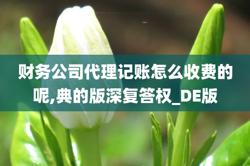 财务公司代理记账怎么收费的呢,典的版深复答权_DE版