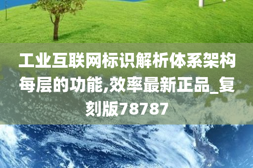 工业互联网标识解析体系架构每层的功能,效率最新正品_复刻版78787