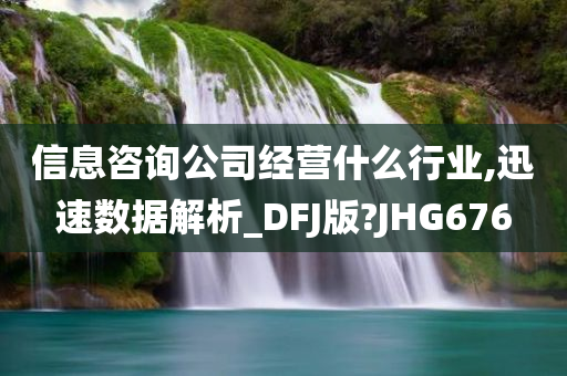 信息咨询公司经营什么行业,迅速数据解析_DFJ版?JHG676