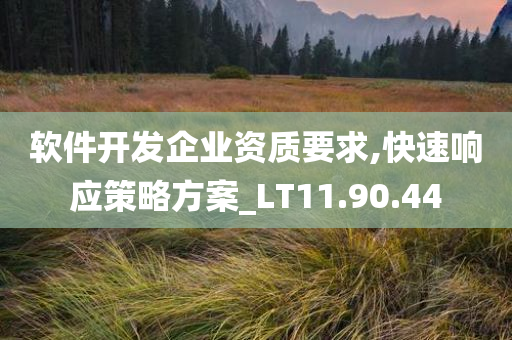 软件开发企业资质要求,快速响应策略方案_LT11.90.44