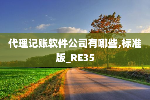 代理记账软件公司有哪些,标准版_RE35