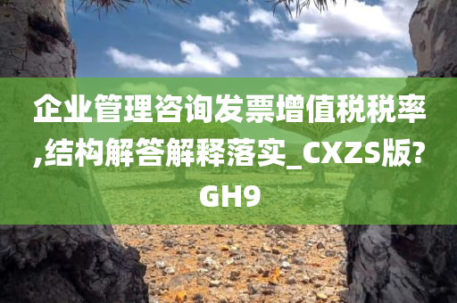 企业管理咨询发票增值税税率,结构解答解释落实_CXZS版?GH9