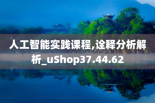 人工智能实践课程,诠释分析解析_uShop37.44.62