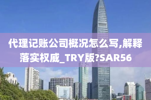 代理记账公司概况怎么写,解释落实权威_TRY版?SAR56