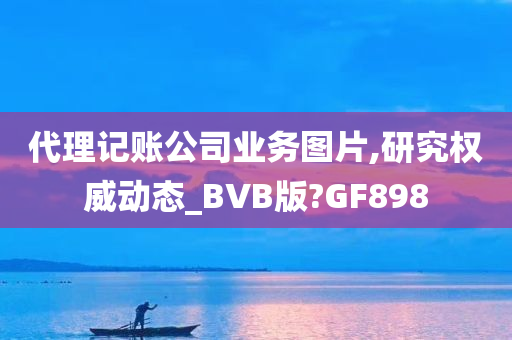 代理记账公司业务图片,研究权威动态_BVB版?GF898