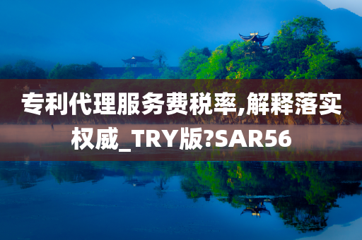 专利代理服务费税率,解释落实权威_TRY版?SAR56