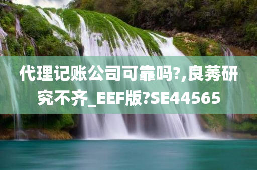 代理记账公司可靠吗?,良莠研究不齐_EEF版?SE44565