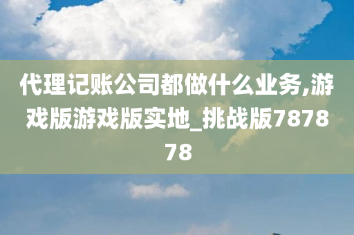 代理记账公司都做什么业务,游戏版游戏版实地_挑战版787878