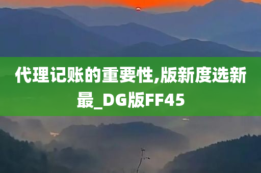 代理记账的重要性,版新度选新最_DG版FF45