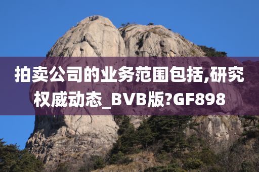 拍卖公司的业务范围包括,研究权威动态_BVB版?GF898