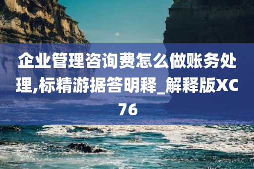 企业管理咨询费怎么做账务处理,标精游据答明释_解释版XC76