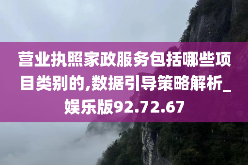 营业执照家政服务包括哪些项目类别的,数据引导策略解析_娱乐版92.72.67