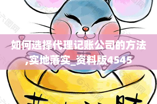 如何选择代理记账公司的方法,实地落实_资料版4545