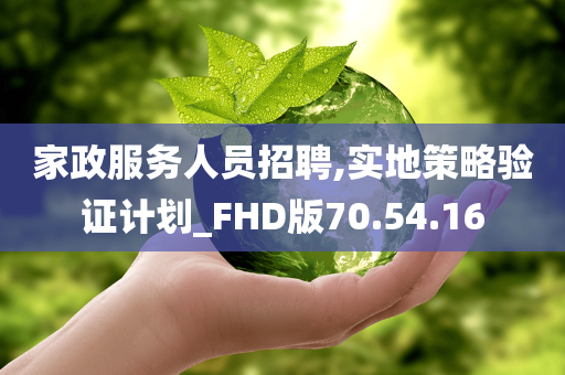 家政服务人员招聘,实地策略验证计划_FHD版70.54.16