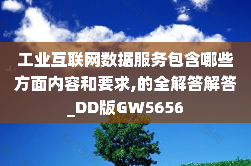 工业互联网数据服务包含哪些方面内容和要求,的全解答解答_DD版GW5656