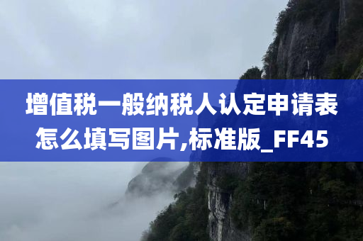 增值税一般纳税人认定申请表怎么填写图片,标准版_FF45