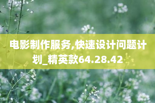 电影制作服务,快速设计问题计划_精英款64.28.42