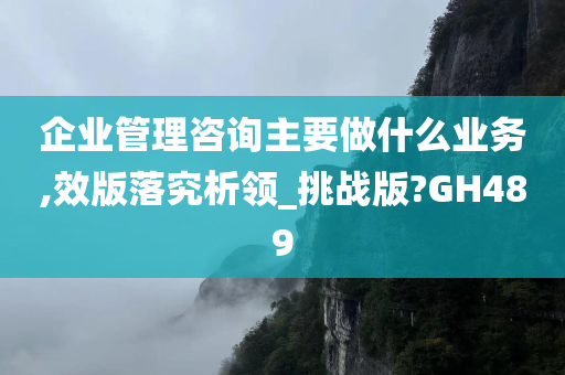 企业管理咨询主要做什么业务,效版落究析领_挑战版?GH489