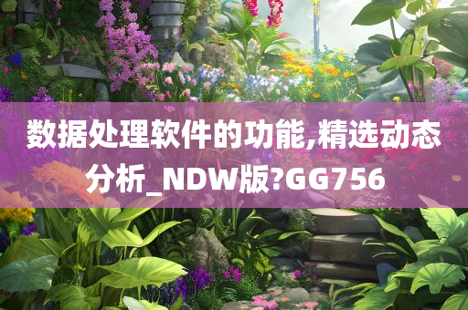 数据处理软件的功能,精选动态分析_NDW版?GG756