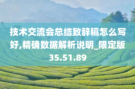 技术交流会总结致辞稿怎么写好,精确数据解析说明_限定版35.51.89