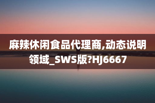 麻辣休闲食品代理商,动态说明领域_SWS版?HJ6667