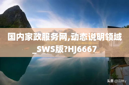 国内家政服务网,动态说明领域_SWS版?HJ6667