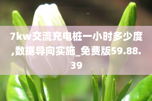 7kw交流充电桩一小时多少度,数据导向实施_免费版59.88.39