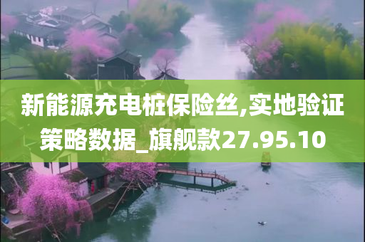 新能源充电桩保险丝,实地验证策略数据_旗舰款27.95.10