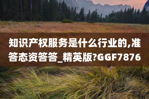 知识产权服务是什么行业的,准答态资答答_精英版?GGF7876