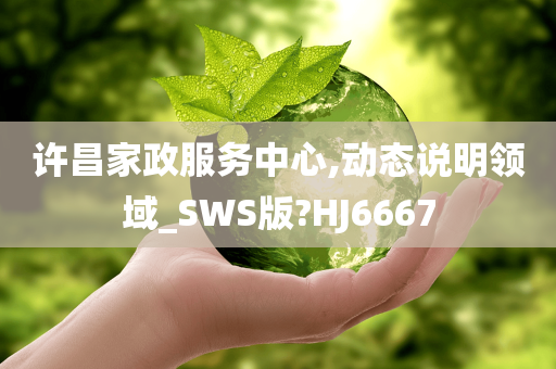 许昌家政服务中心,动态说明领域_SWS版?HJ6667