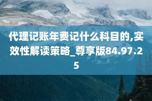 代理记账年费记什么科目的,实效性解读策略_尊享版84.97.25