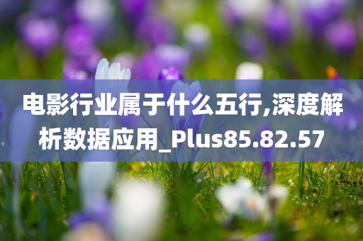 电影行业属于什么五行,深度解析数据应用_Plus85.82.57