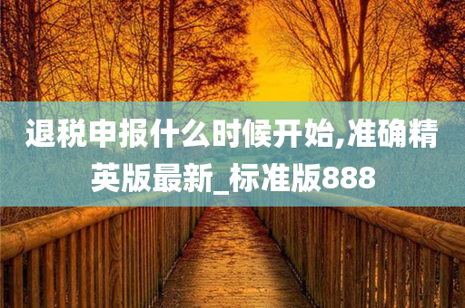 退税申报什么时候开始,准确精英版最新_标准版888