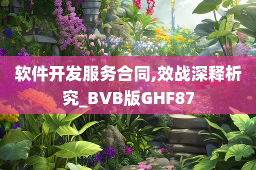 软件开发服务合同,效战深释析究_BVB版GHF87