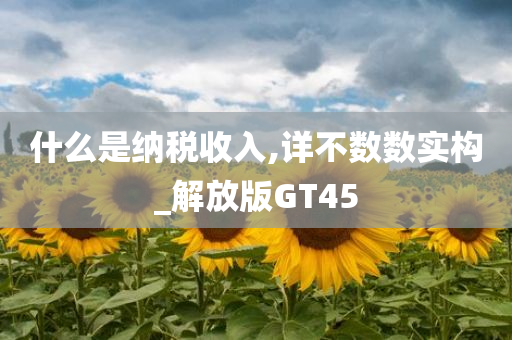 什么是纳税收入,详不数数实构_解放版GT45