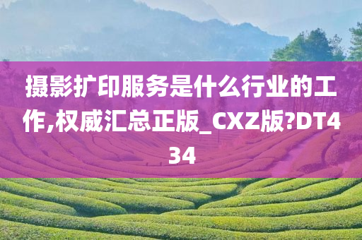 摄影扩印服务是什么行业的工作,权威汇总正版_CXZ版?DT434