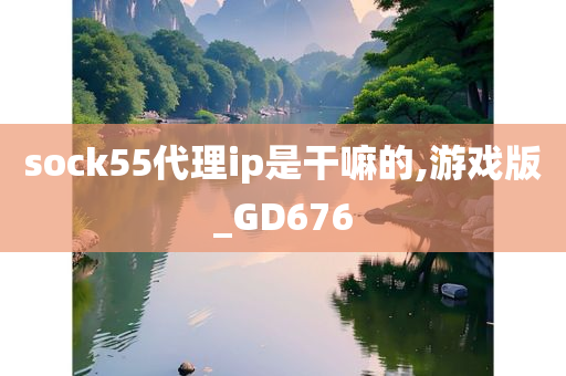 sock55代理ip是干嘛的,游戏版_GD676