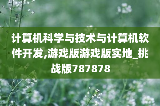 计算机科学与技术与计算机软件开发,游戏版游戏版实地_挑战版787878