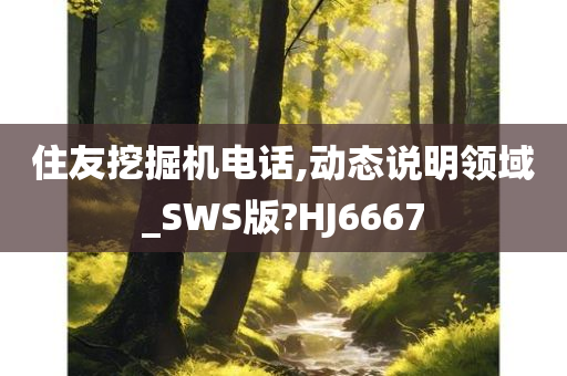 住友挖掘机电话,动态说明领域_SWS版?HJ6667