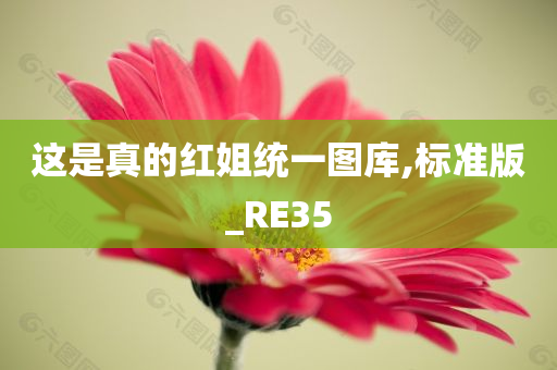 这是真的红姐统一图库,标准版_RE35