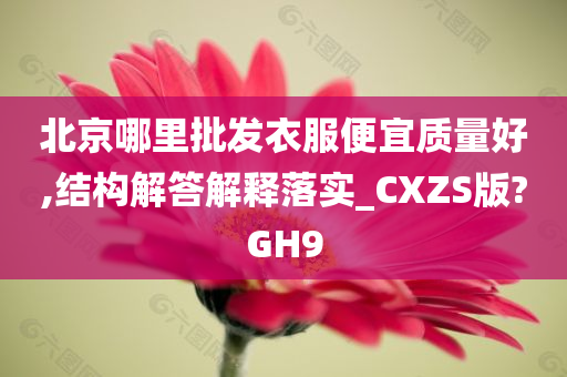 北京哪里批发衣服便宜质量好,结构解答解释落实_CXZS版?GH9