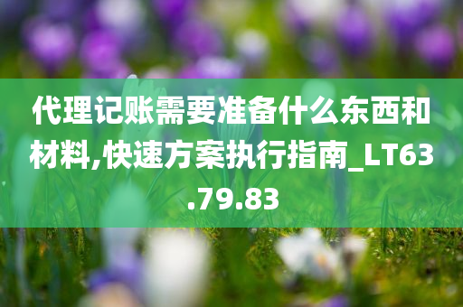 代理记账需要准备什么东西和材料,快速方案执行指南_LT63.79.83