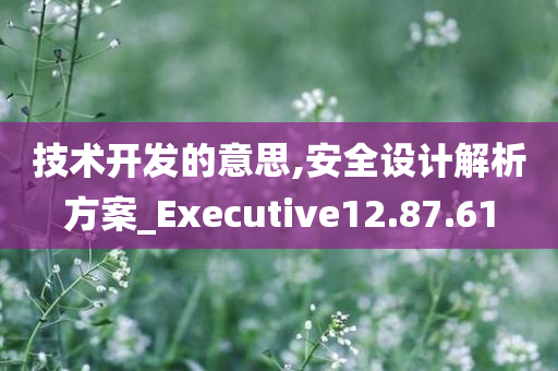 技术开发的意思,安全设计解析方案_Executive12.87.61