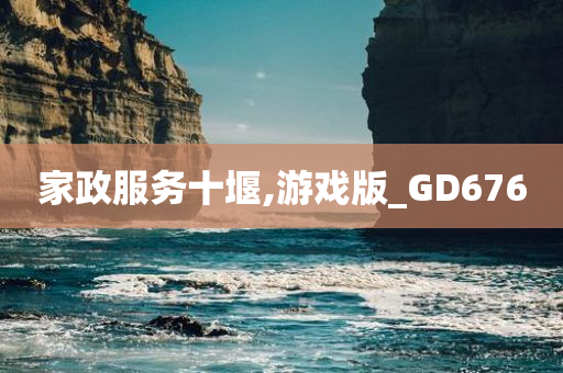 家政服务十堰,游戏版_GD676