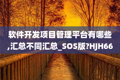 软件开发项目管理平台有哪些,汇总不同汇总_SOS版?HJH66