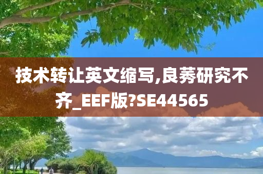 技术转让英文缩写,良莠研究不齐_EEF版?SE44565