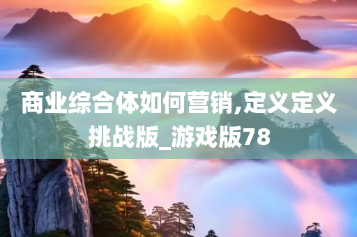 商业综合体如何营销,定义定义挑战版_游戏版78