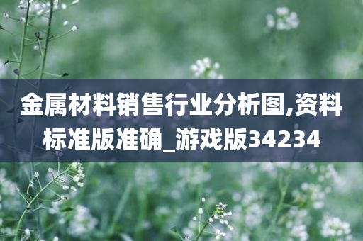 金属材料销售行业分析图,资料标准版准确_游戏版34234